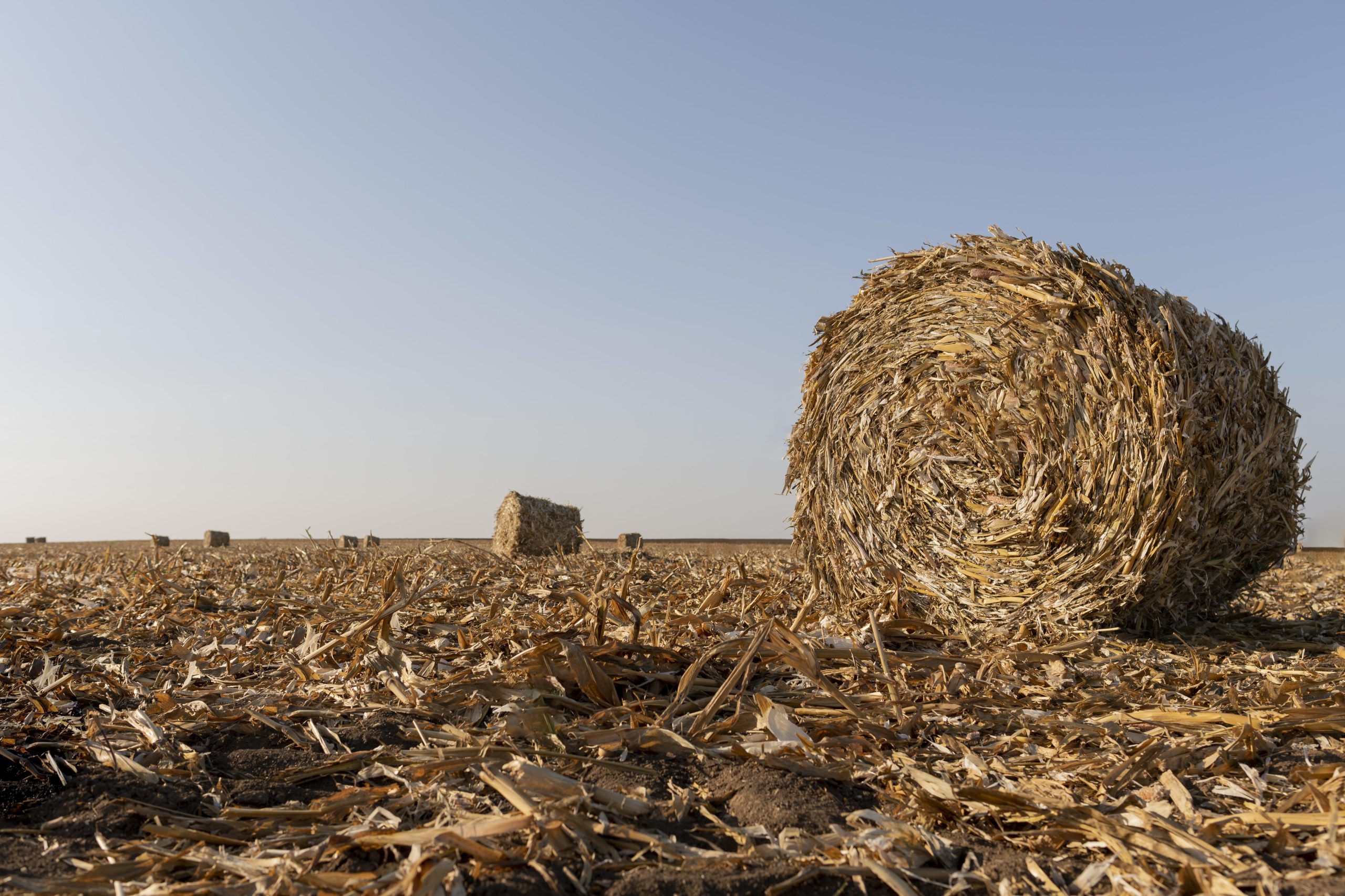 nature-landscape-with-hay-scaled.jpg