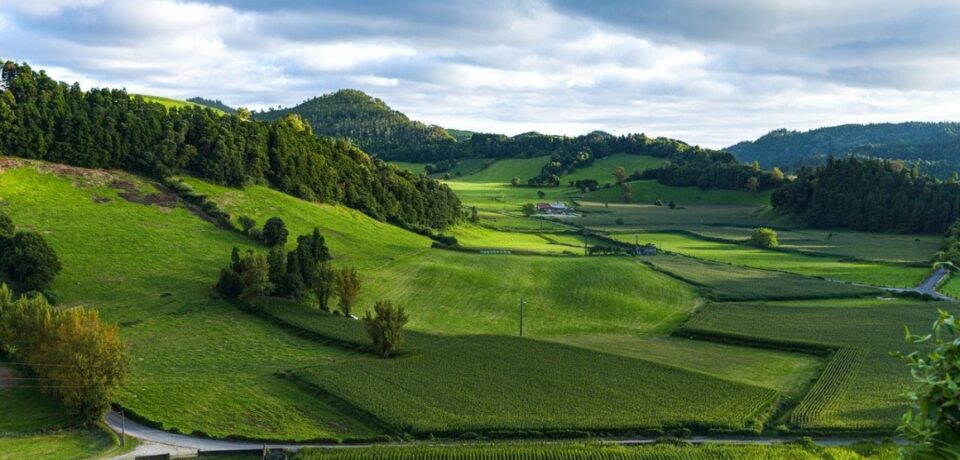 land
