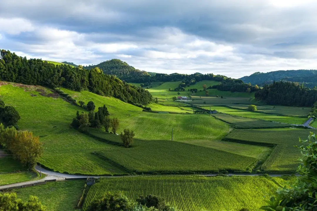 land